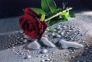 Дебют драматурга на сцене Русского театра Литвы