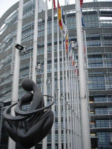 Начинается прием заявочных документов на выборы в ЕП