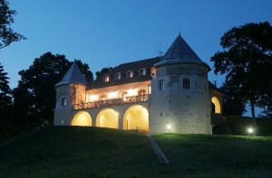 Замковладельцы нашего времени и их проблемы