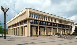 В Литве обсуждается получение двойного гражданства
