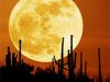 Мифы о воздействии луны - правда или ложь?