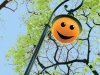 Интернет-пользователи – бесконечные оптимисты, они радуются в 4 раза чаще, чем грустят  