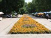 Реконструкция Сярейкишкского парка вызывает сомнения 