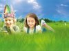 Если потепление климата продолжится, поменяется вся экосистема