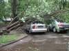 Страховщики приступили к выплате компенсаций пострадавшим от урагана (дополнено)