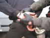 Посол России Владимир ЧХИКВАДЗЕ: "Надеемся на плодотворное сотрудничество с Литвой" 