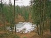 Скважины - проклятие Аукштадвариса