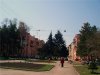 Вильнюсское самоуправление намерено прервать договоры с предприятиями, занимающимися уборкой тротуаров