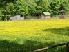 В Литве продлен запрет на продажу земли иностранцам