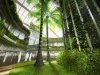 Земляне будут спасаться от изменения климата в биоклиматических зданиях