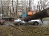 Ветер разбушевался на территории всей Литвы