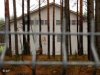 В чем Amnesty International обвиняет Литву?