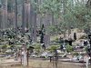 "Экспресс-неделя" №43 (2011)