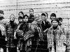 О том, как к Холокосту ловко «пристегнули» сталинские депортации