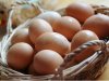 Как найти экологически чистые яйца?