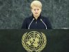 Литва избрана в Совет безопасности ООН 