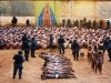 Как однажды целая страна сошла с ума