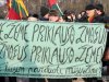 Референдум о земле в Литве провалился из-за рекордно низкой явки (дополнено)