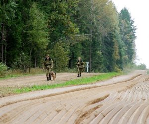 За десять лет в Литве по обвинениям в коррупции осуждено более 120 пограничников 