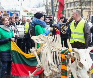 Несколько сотен молочников в центре Вильнюса провели пикет