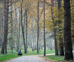 Экстремальная прогулка в городском парке