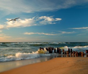 От боеприпасов очищено около 185 квадратных километров Балтийского моря