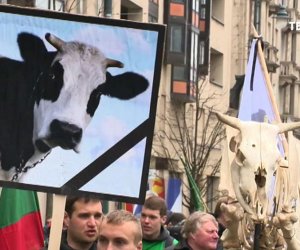 ЕК обещает выделить производителям молока Литвы дополнительные 13,3 млн. евро 