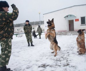 Особенности нашего милосердия  