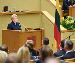 Д.Грибаускайте: Сейм имеет возможность заложить основу совершенно нового этапа развития страны
