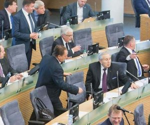 Изменения в Cейме Литвы: упразднен комитет, а вице-спикеры остались без служебного транспорта