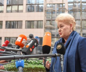 Президент Литвы: руководство Сирии и России должно знать красные линии