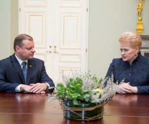 Позиции премьера и президента Литвы в вопросе об узаконивании двойного гражданства расходятся