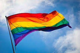 BNS спрашивает руководителей страны: одобряете ли вы гомосексуальное партнерство