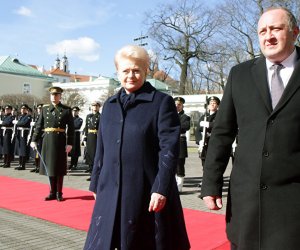 В преддверии саммита НАТО – телефонный разговор президентов Литвы и Грузии