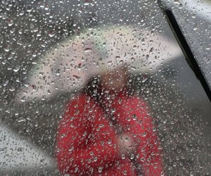 Дождливая погода продержится до конца недели