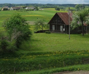 Чрезмерное усердие - не на пользу