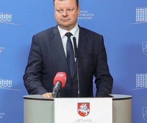 Премьер Литвы: льготные тарифы НДС составят 15 и 5%