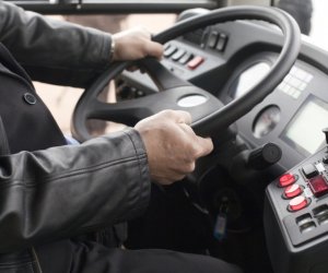 Почему мы такие нервные? 