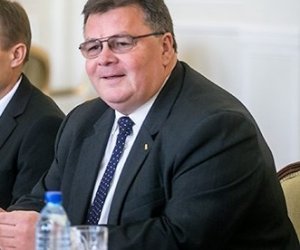 Министры М.Вайните и Л.Линкявичюс остаются в правительстве Литвы, М.Синкявичюс уходит