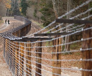  Латвия построит стену на границе с Беларусью