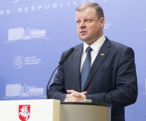 На выборах президента жители Литвы склонны поддержать С. Сквярнялиса и Г. Науседу 