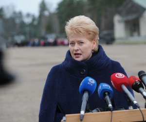Президент Литвы за участок земли на окраине Вильнюса заплатила 75 тыс. евро (СМИ)