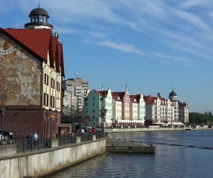 Ведомства Литвы и РФ начали согласование подготовки к ЧМ по футболу