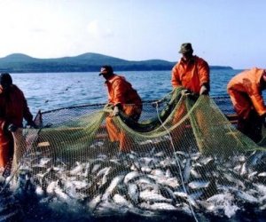 Возобновляются переговоры ЕС о рыболовстве в водах Марокко