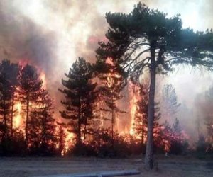 В пятницу в Литве вспыхнули крупные лесные пожары (дополнено)