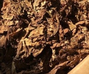 На юге Литвы обнаружено 13 тонн нелегального табака