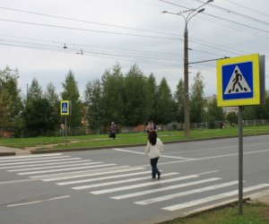 В Литве пешеходам запретили разговаривать по телефону при переходе улицы