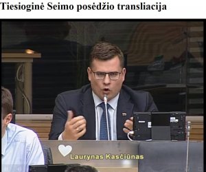 Более десяти литовских парламентариев объединяются в группу друзей Д. Трампа