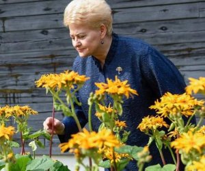 Жители Литвы оценивают работу президента на "восьмерку" 