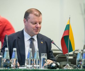 Э.Гентвилас: премьер пользуется А.Палецкисом, чтобы показать сложные условия работы правительства